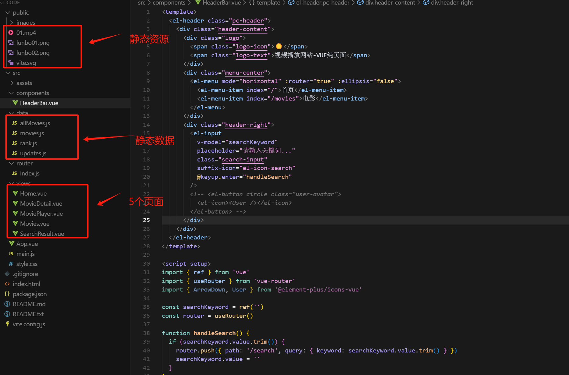 vue程序 视频播放网站 纯前端 vue源码带搭建教程